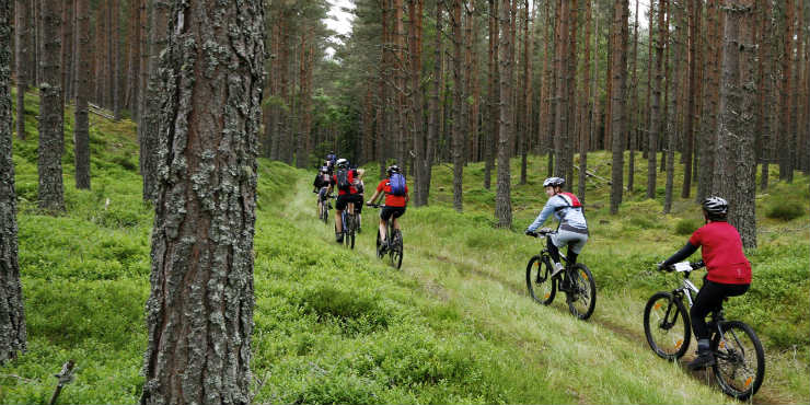 mountain biking group